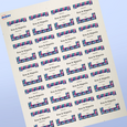 Professional Printed Square Labels