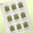 Professional Printed Arched Labels