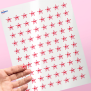 Professional Printed Star Labels