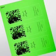 Professional Printed Rectangle Labels