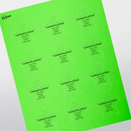 Professional Printed Star Labels