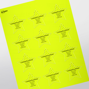 Professional Printed Star Labels