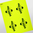 Professional Printed Oval Labels