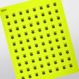Professional Printed Square Labels