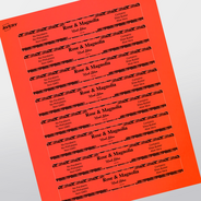 Professional Printed Rectangle Labels
