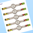 Professional Printed Band Labels