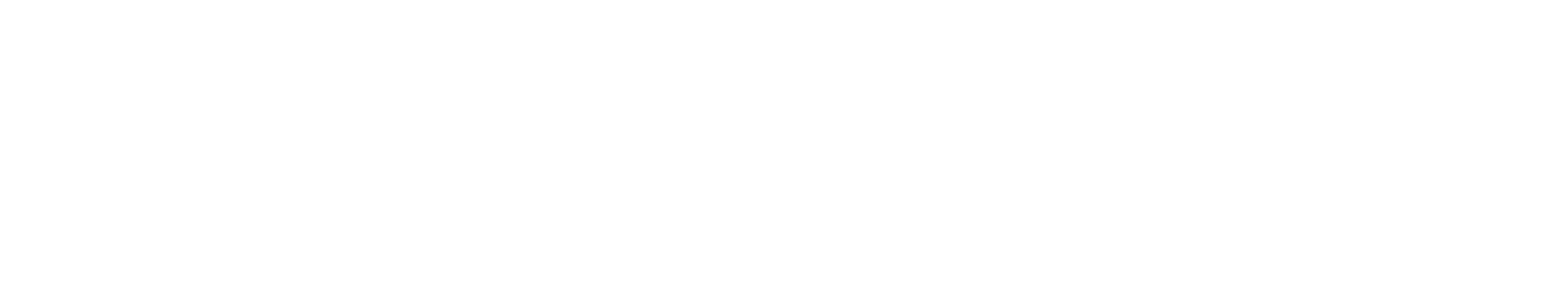 Checkpoint Systems