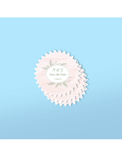 Professional Printed Starburst Sticker