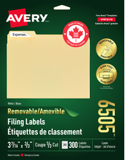 Removable White Filing Labels