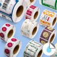 Professional Printed Roll Labels, Square
