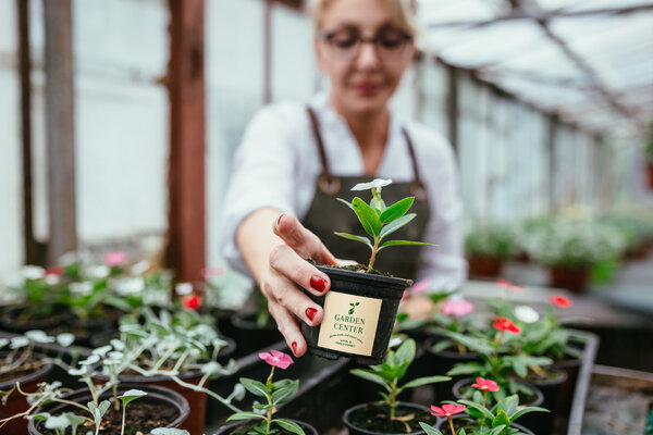 eco friendly labels 