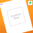 Professional Printed Square Labels