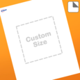 Professional Printed Square Labels