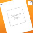 Professional Printed Square Labels