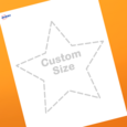 Professional Printed Star Labels