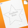 Professional Printed Star Labels
